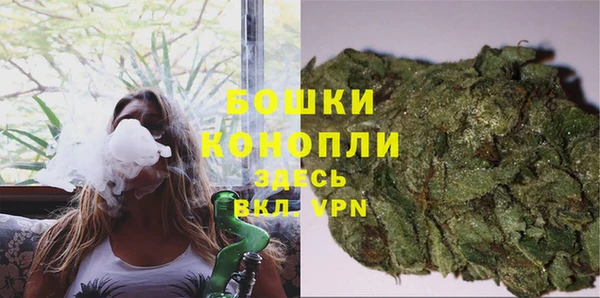 крисы Абдулино