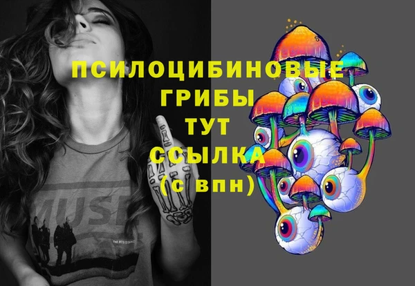 прущая мука Абаза