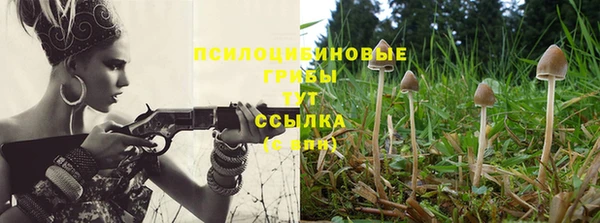 СК Алексеевка