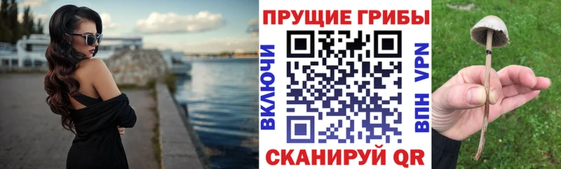 продажа наркотиков  Троицк  Галлюциногенные грибы прущие грибы 